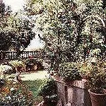 Hotell Il Torrino San Gervasio (Pisa)