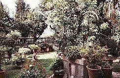 Hotel Il Torrino San Gervasio (Pisa)